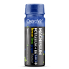 OstroVit Magnesium Potassium + B6 SHOT 80 ml