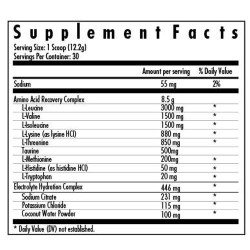 Modern Sports Nutrition - Modern EAA+ 366g