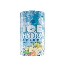 FA Ice Hydro Amino 480g