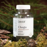 OstroVit Chaga VEGE 60 caps