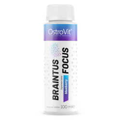 OstroVit Braintus Focus 100 ml - blueberry