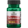 Swanson Nattokinase, 100mg - 30 caps