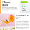 Intenson Stevia With Erythritol 250 g