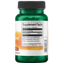 Swanson High Potency Benfotiamine, 160mg - 60 caps