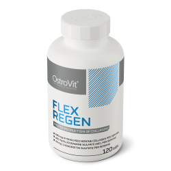 OstroVit Flex Regen 120 tablets