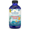 Nordic Naturals Children's DHA - 530mg Omega-3 Strawberry - 473 ml.